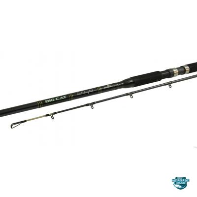 Nevis Big Cat 270 200-400