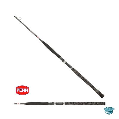 Penn Legion Cat Silver Verti Cat 190cm